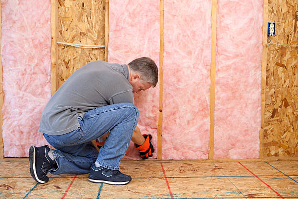 Best Eco-Friendly Insulation in Dover, NJ
